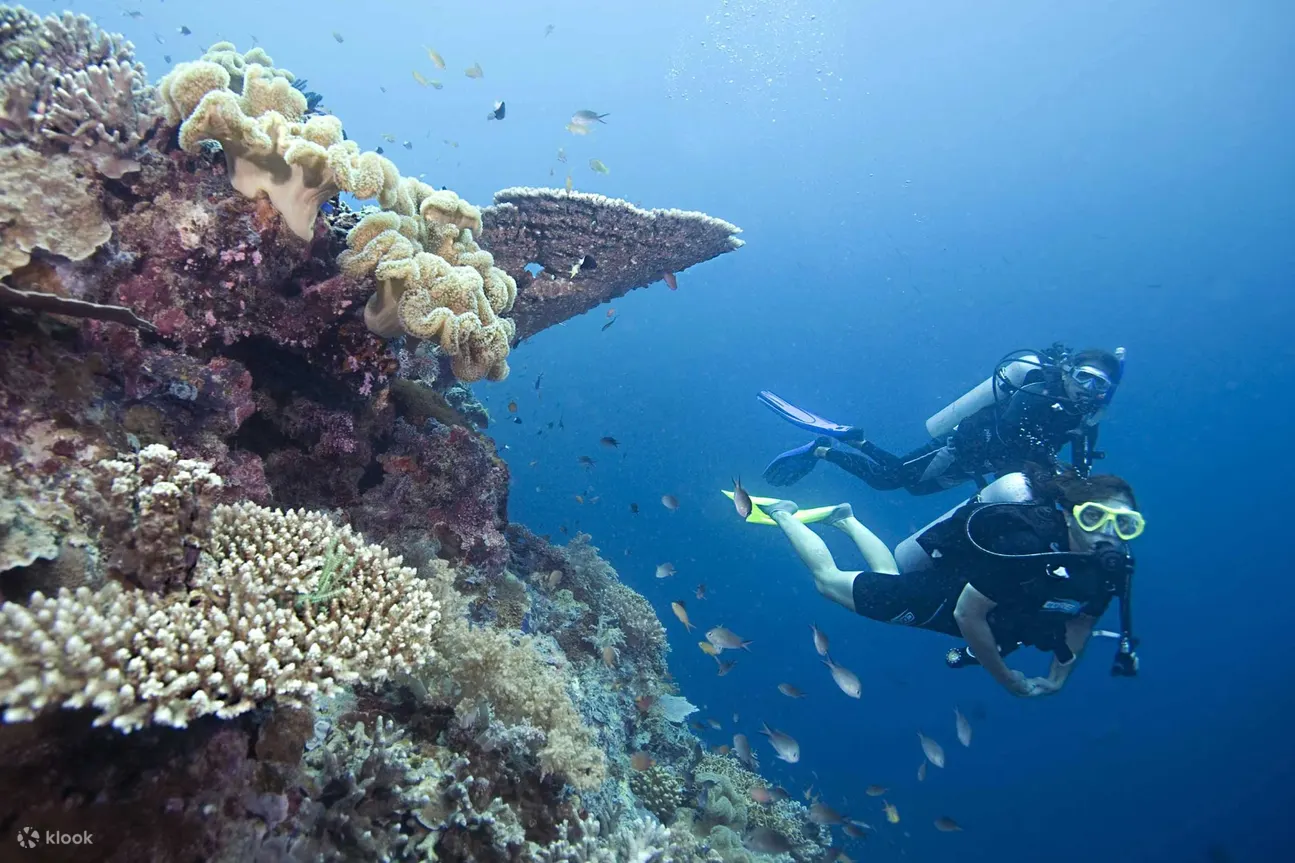 two divers underwater
