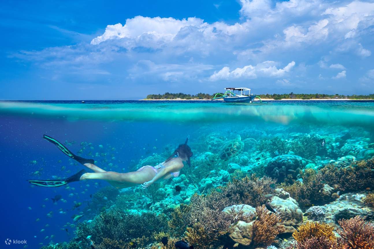 Gili Trawangan Private Day Tour In Lombok Klook