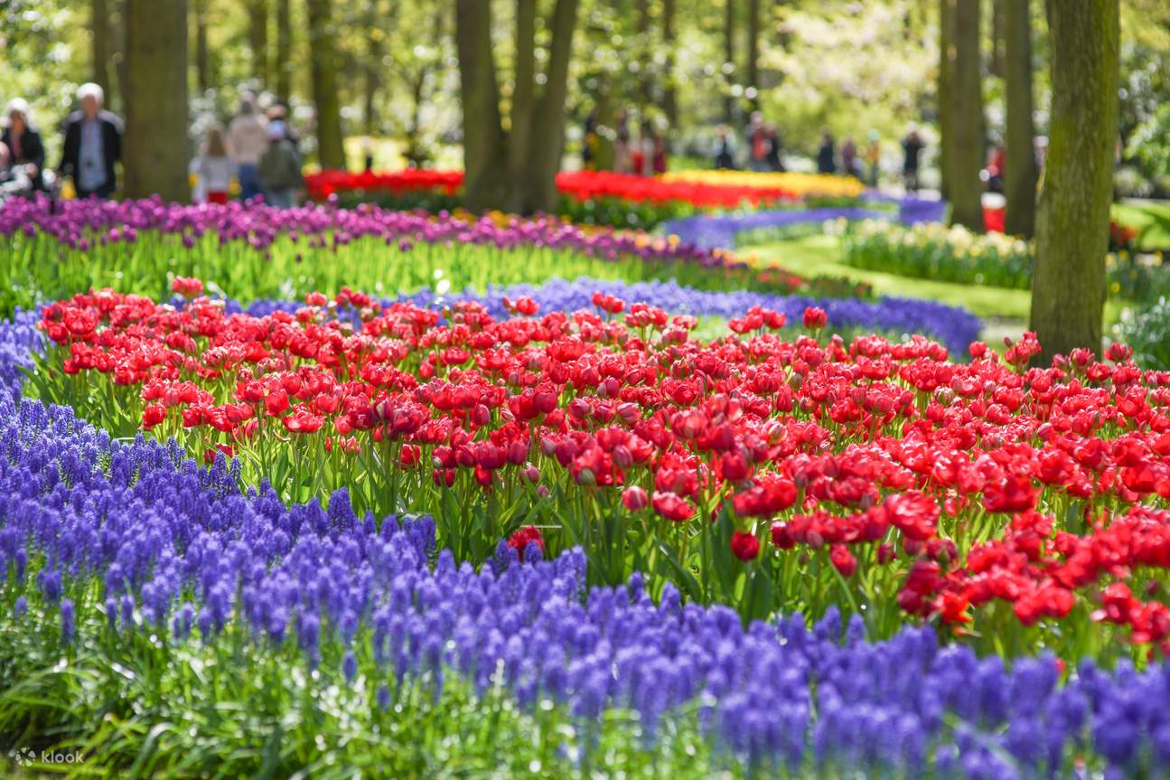 Keukenhof