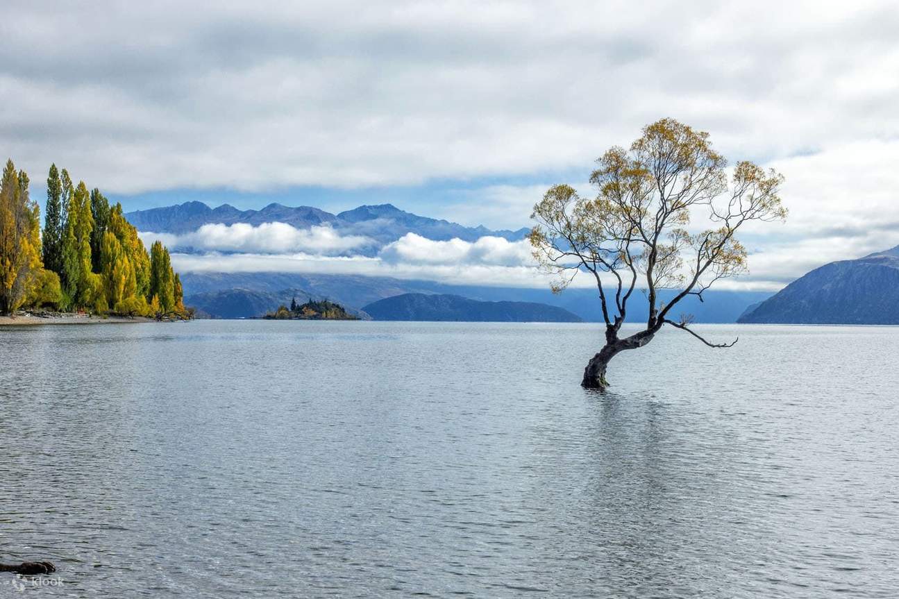 Wanaka & Fruit Town Day Tour dari Queenstown (Pemandu Tiongkok) Klook