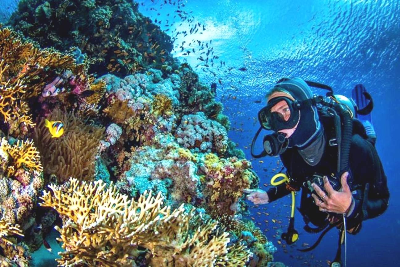 Sahl Hasheesh: Diving or Snorkeling Boat Trip with Lunch