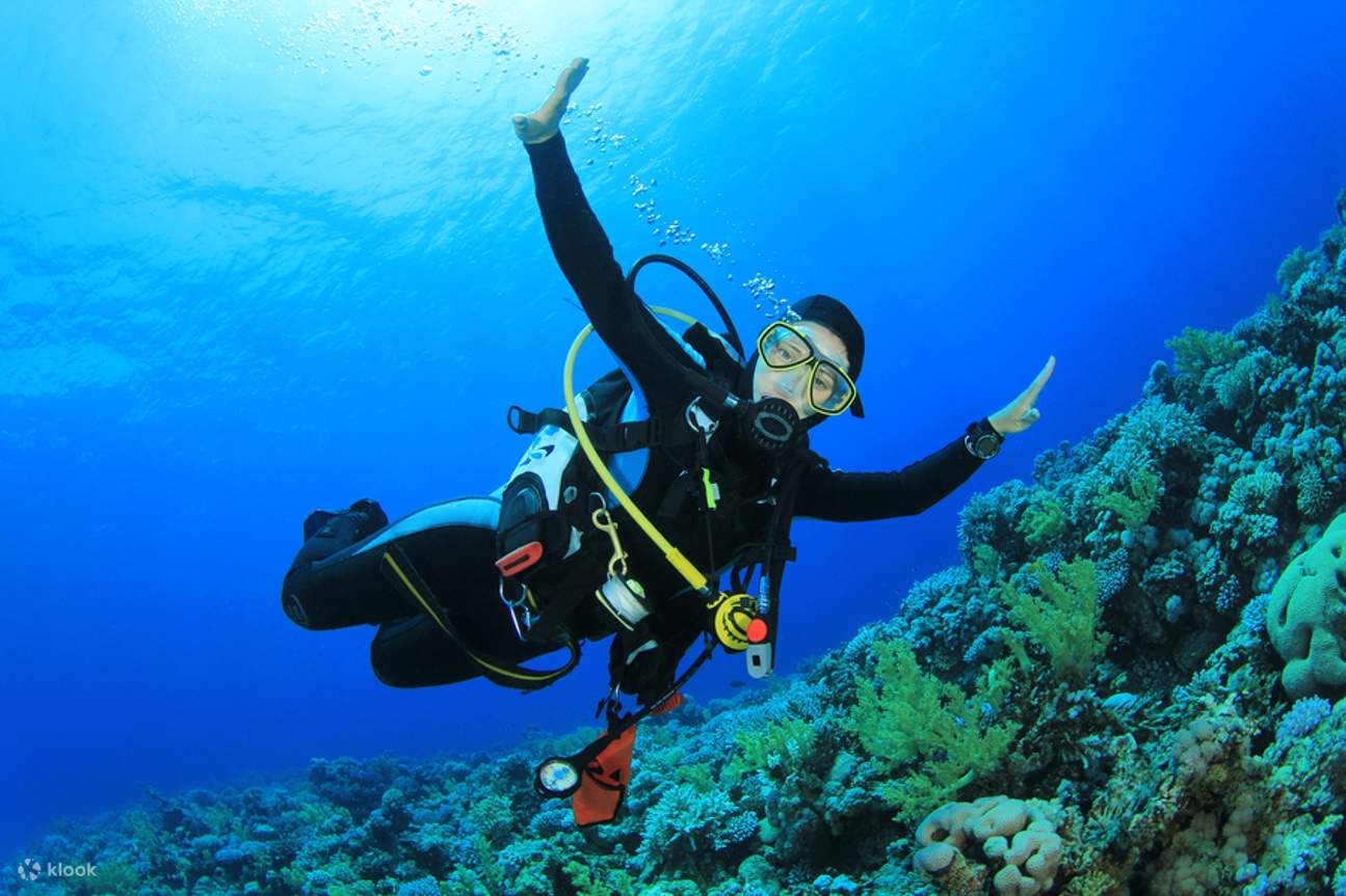 Gita in Barca con Immersione Guidata e Pranzo per Principianti – Marsa Alam