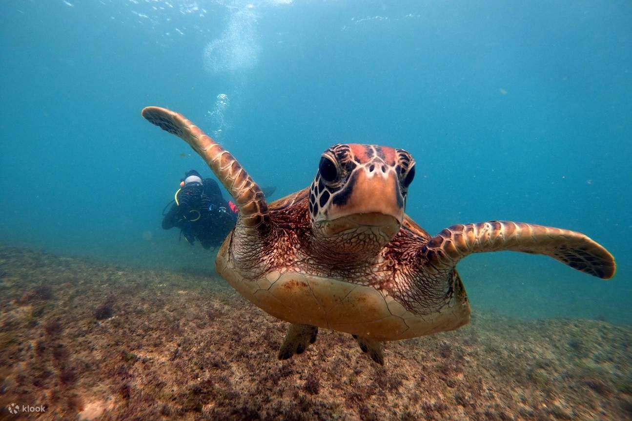 ล่องเรือแคนูรอบเกาะเสี่ยวหลิวฉิว