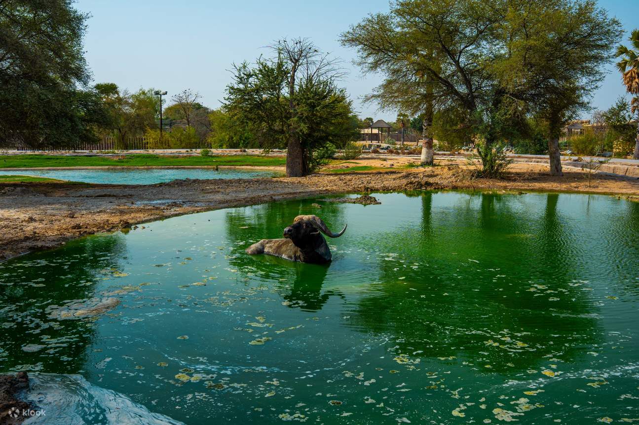 Vé Dubai Safari Park