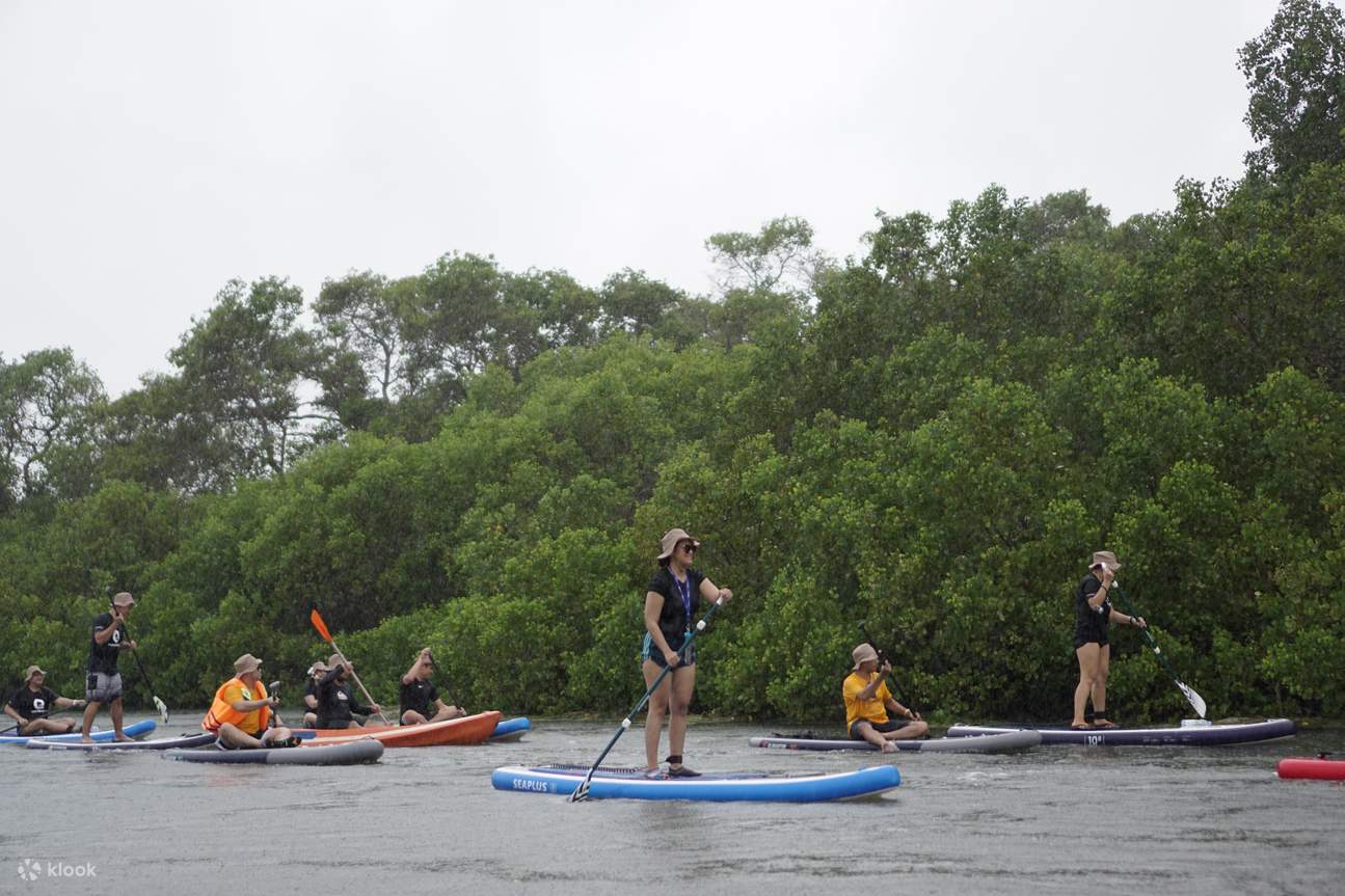thumbnail image 2 of OEM Sup Board Stand Up Paddle Board All Round Paddleboard Surfing Board 2 of 9