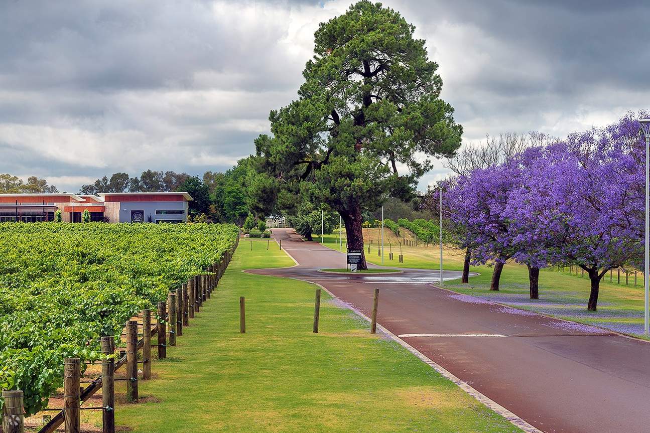 Bush Tucker And Wine Tasting In Mandoon Estate Klook
