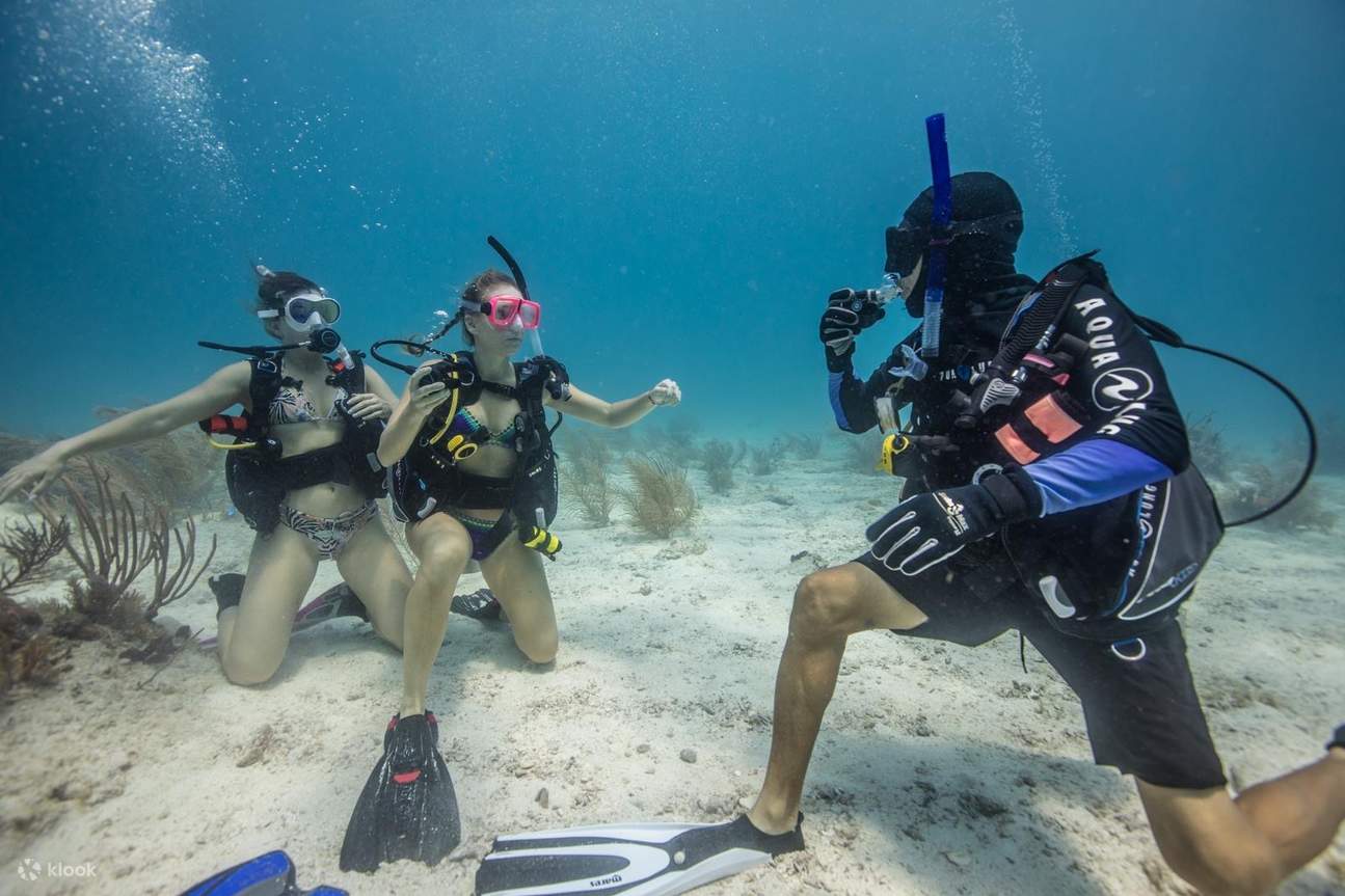 PADI Open Water Diver Course in Florida with PADI 5 Star IDC Klook