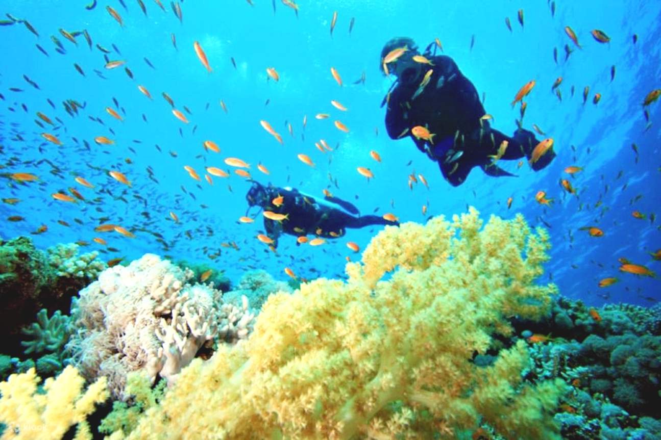 Sahl Hasheesh: Diving or Snorkeling Boat Trip with Lunch
