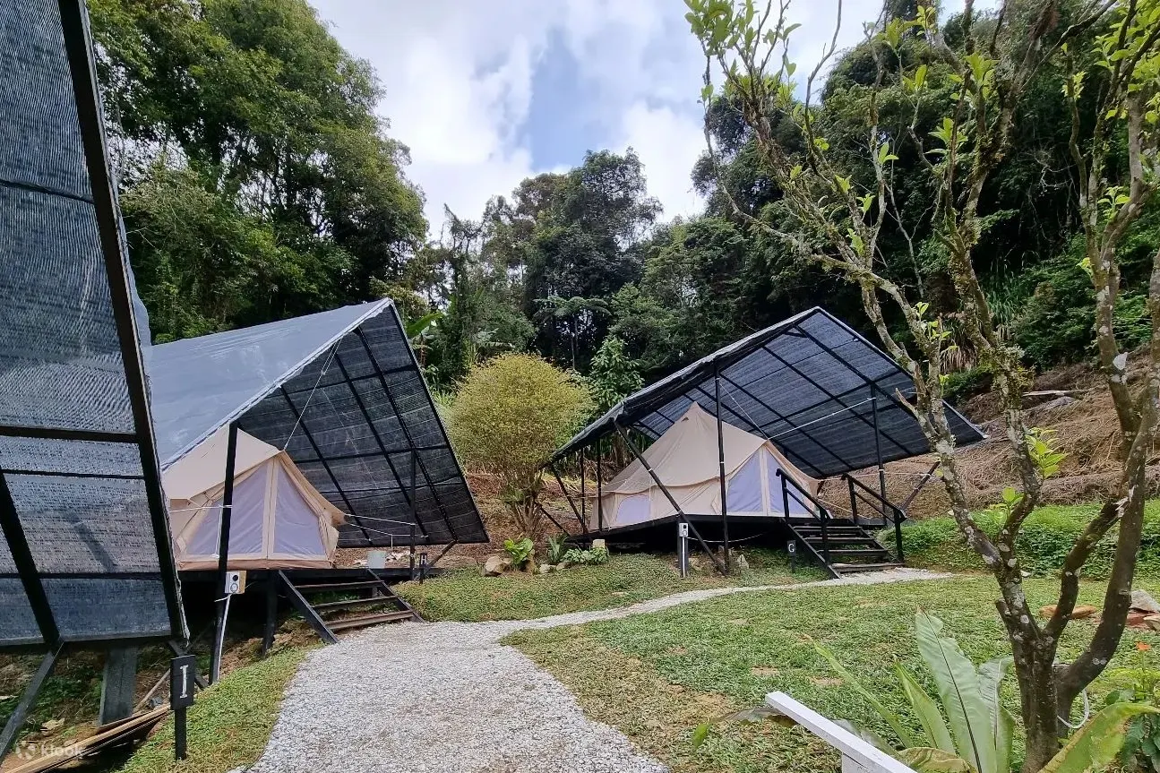 GlampingExperiencebyTheBackyardGlampingCameronHighlands.webp