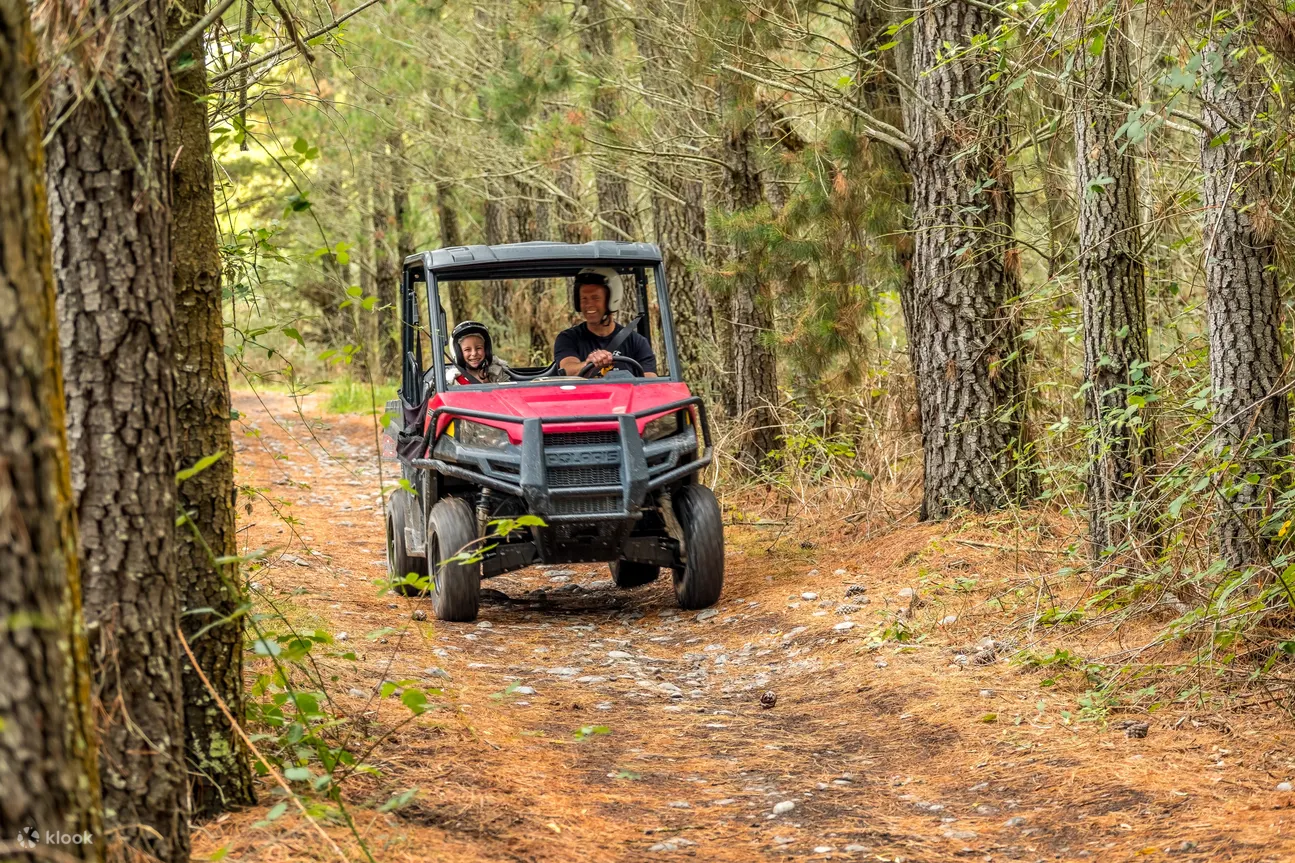 2 or 4 seater buggies hanmer springs 