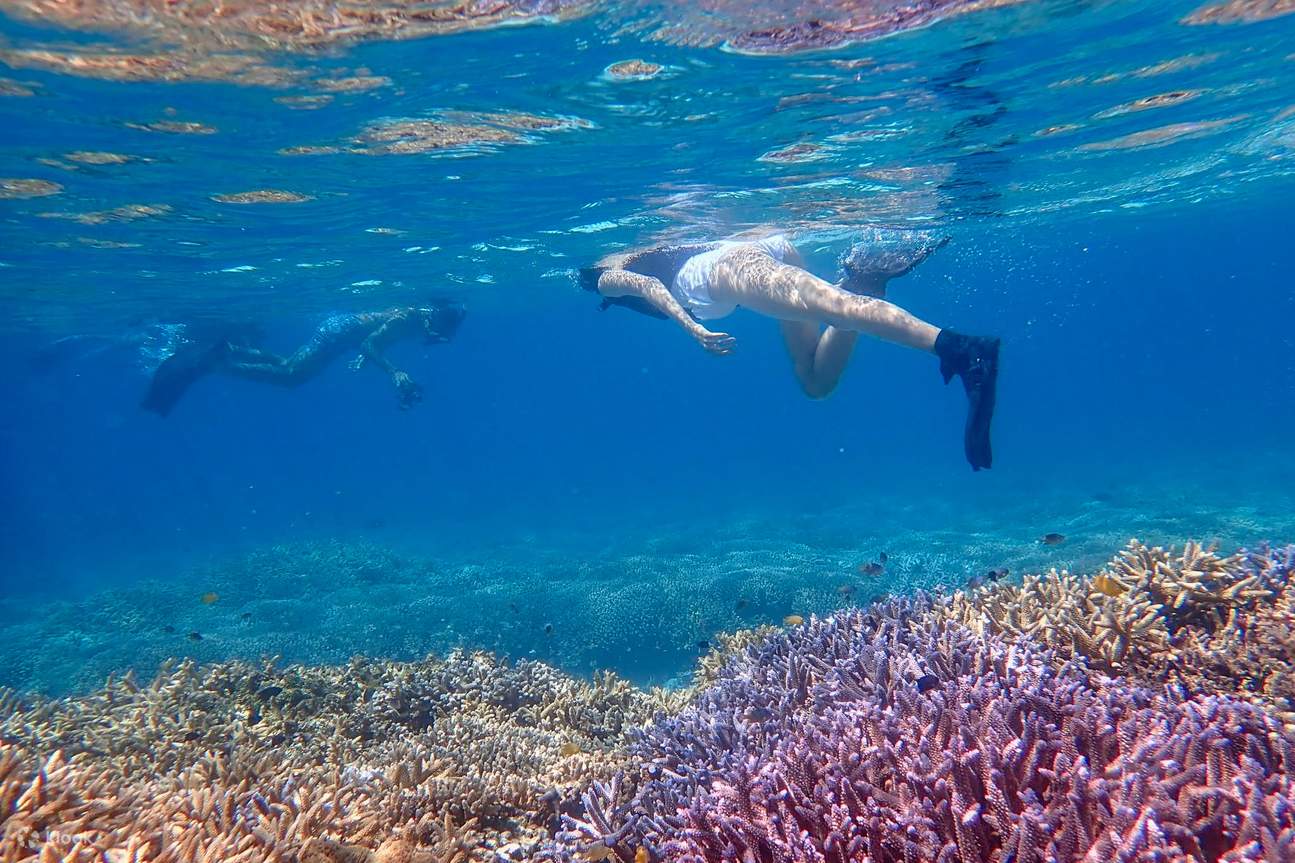 Veb-kamera jinsiy aloqada qizlar bilan suhbat