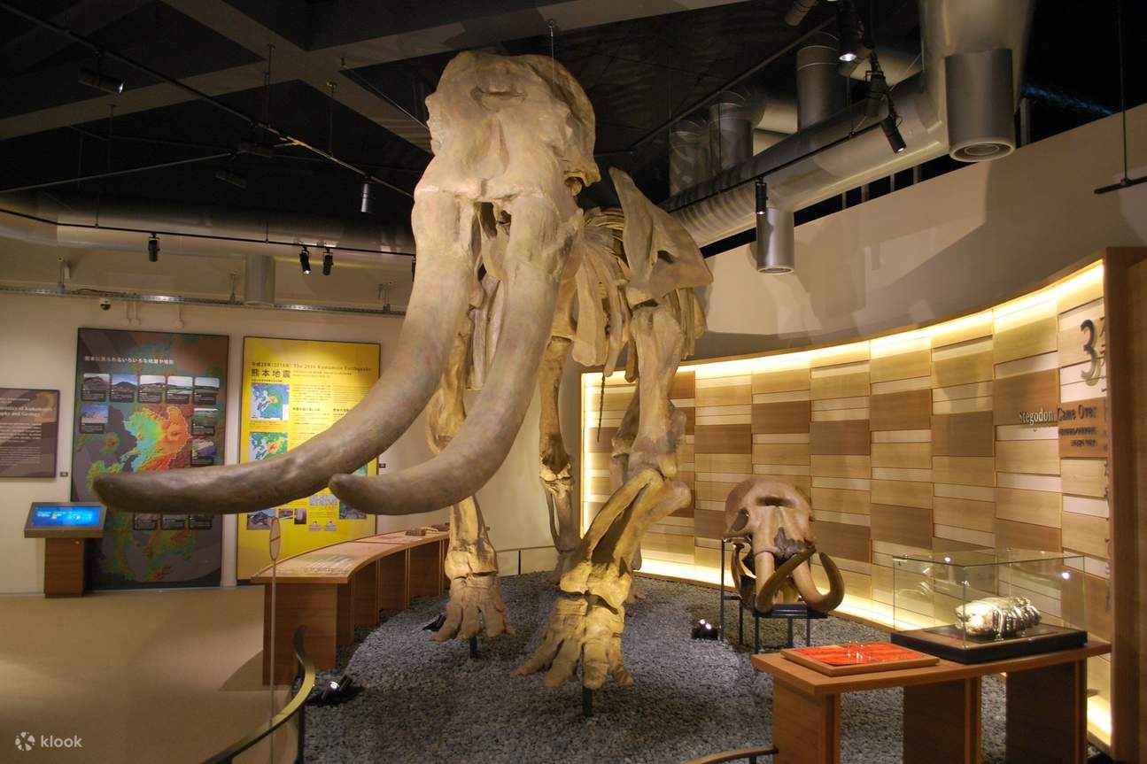 Billet pour le château de Kumamoto