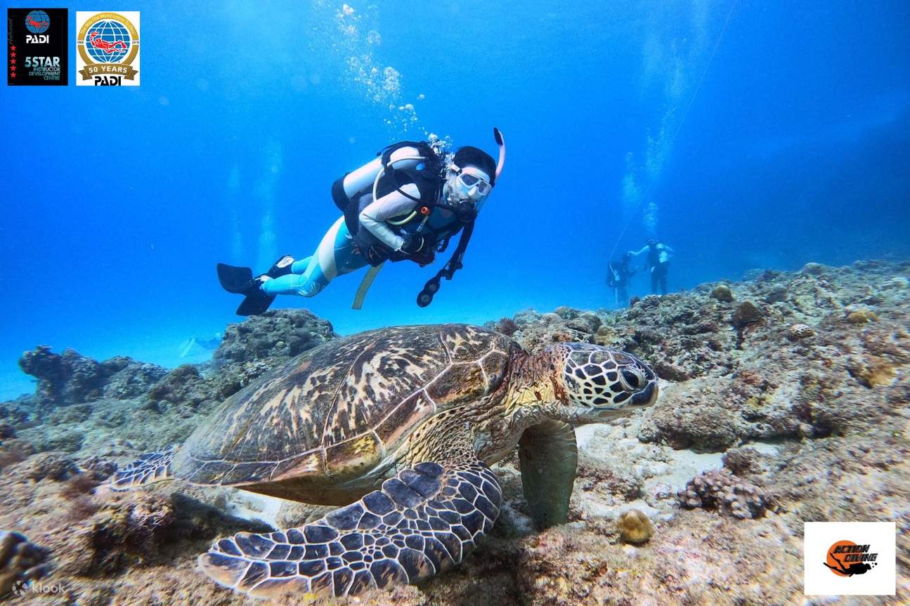 Xiaoliuqiu: Introductory Open Water Diving Course Experience (PADI ...