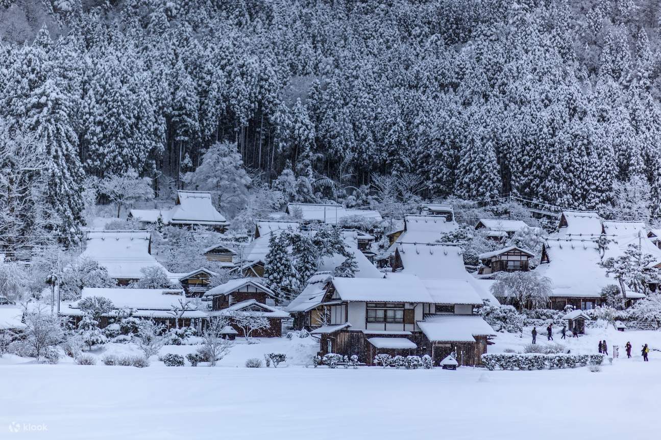 Amanohashidate, Funaya, and Kayabuki no Sato Day Tour - Klook United States