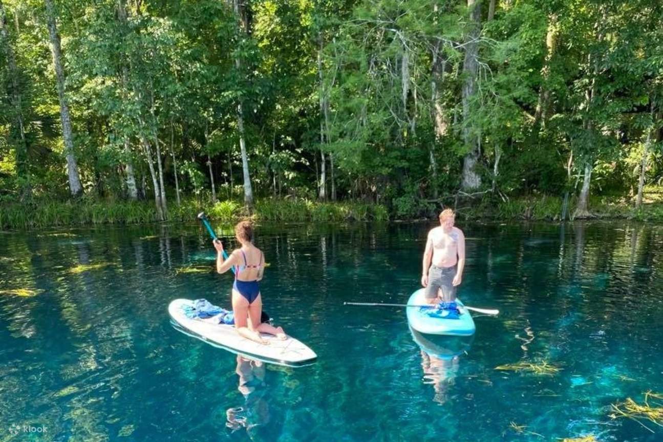 Запечатлейте красоту нетронутого ландшафта, окружающего Силвер-Спрингс