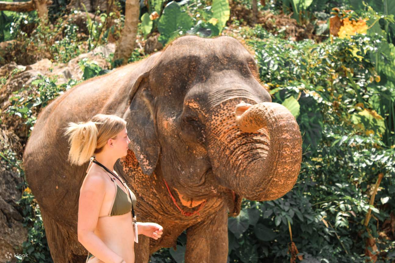 makhluk raksasa yang ramah