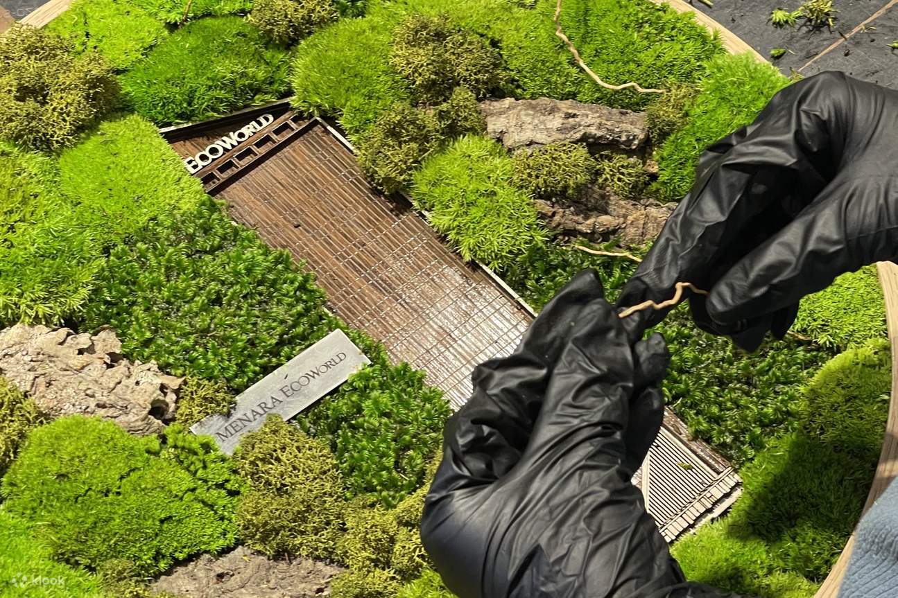 DIY Moss Frame Workshop in Johor Bahru (Near CIQ - Bandar Outlet)