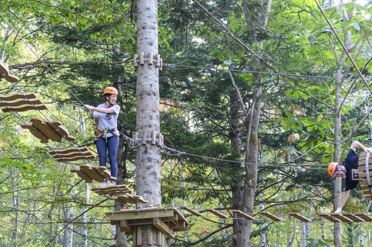 Niseko Ezo Fuji (Mt. Yotei) TreeTrekking & TreeWalk - Klook United Kingdom