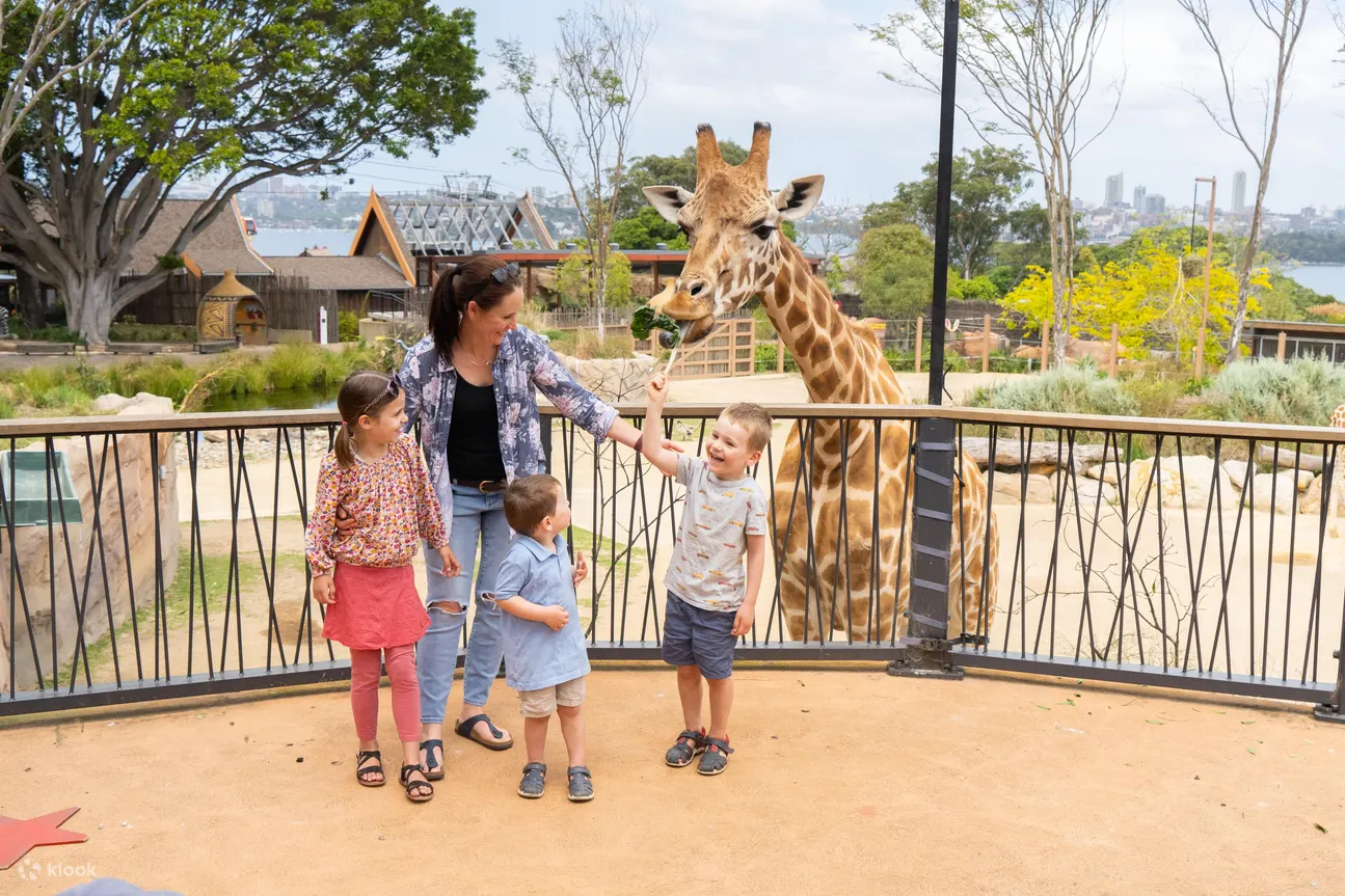 塔龍加動物園照片 - 塔龍加最高的動物朋友們