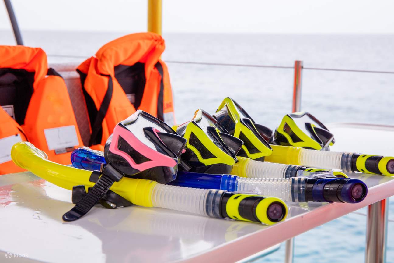 Snorkeling gear