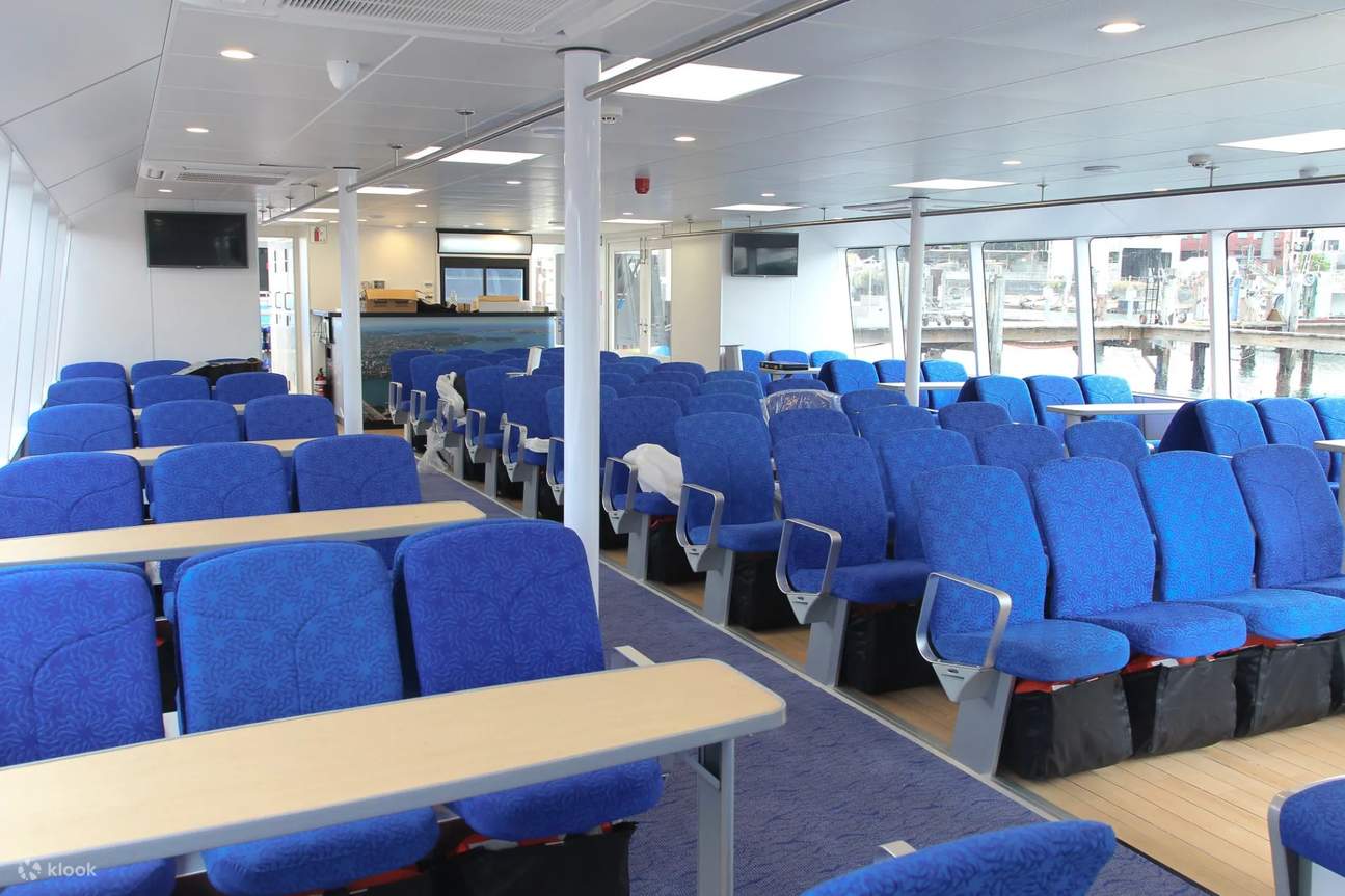 从 Ocean Flyer 的甲板上欣赏悉尼新年烟花的壮丽景色