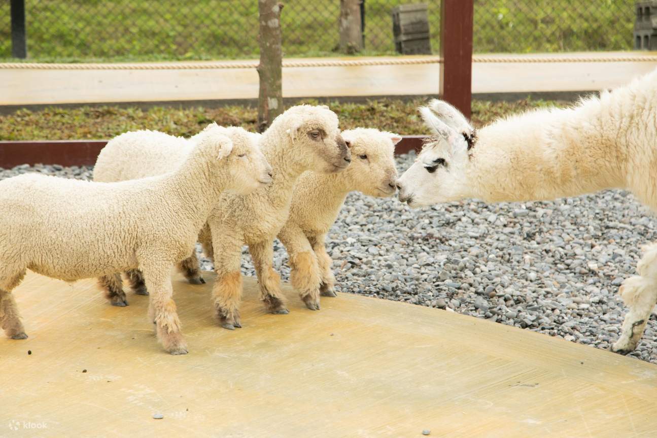 兰阳动植物王国