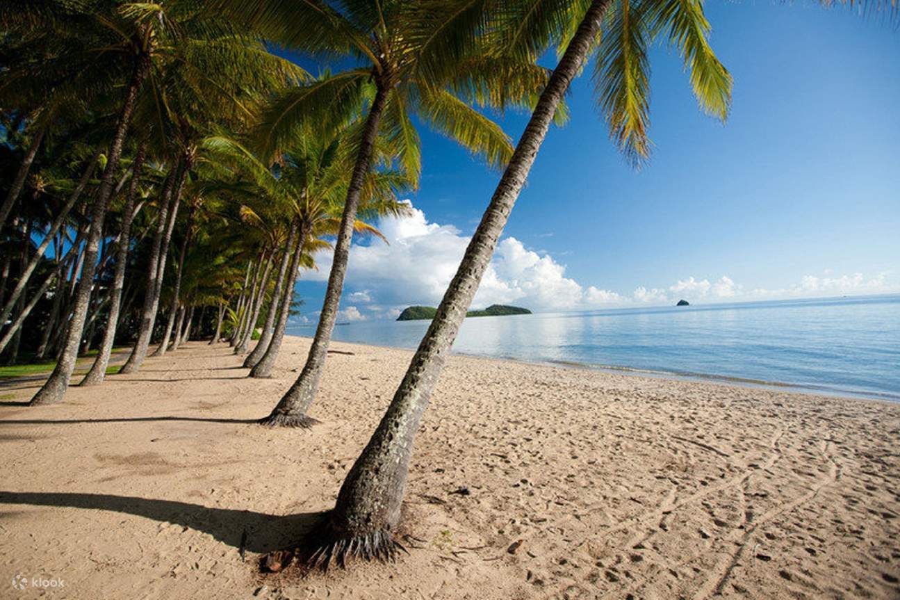 Kuranda and Palm Cove Bus Tour from Port Douglas Klook