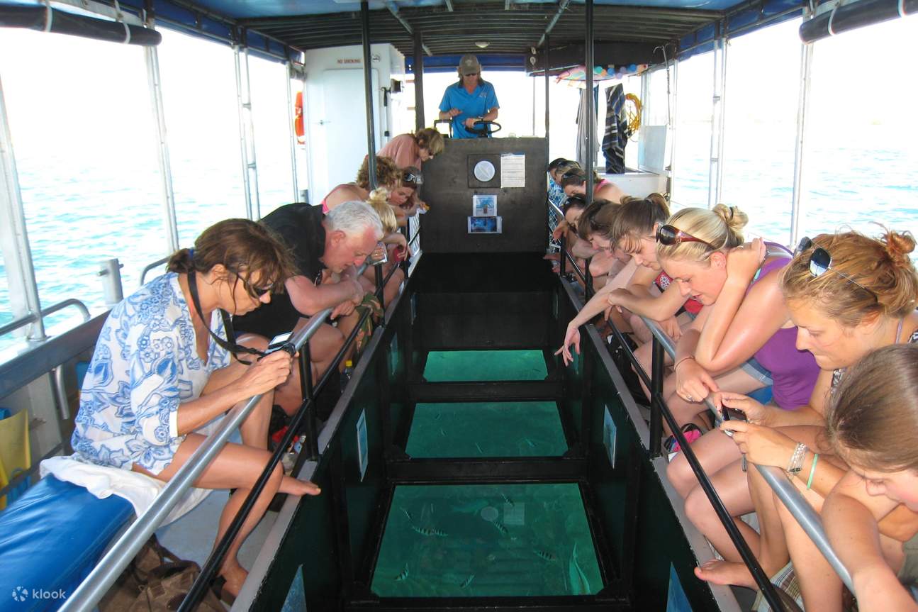 コーラルベイ水中探検