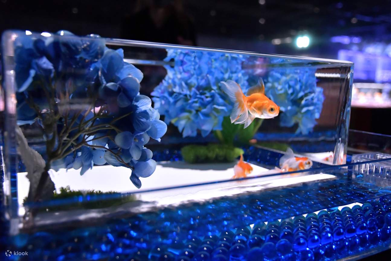 Art Aquarium Museum GINZA Admission Ticket Klook