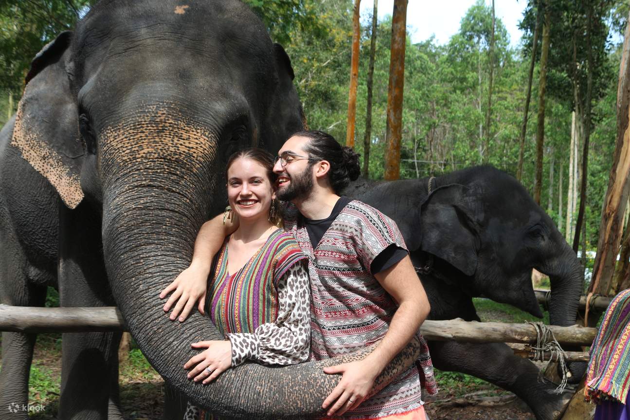 Naidee Elephant Care Park Experience in Phuket