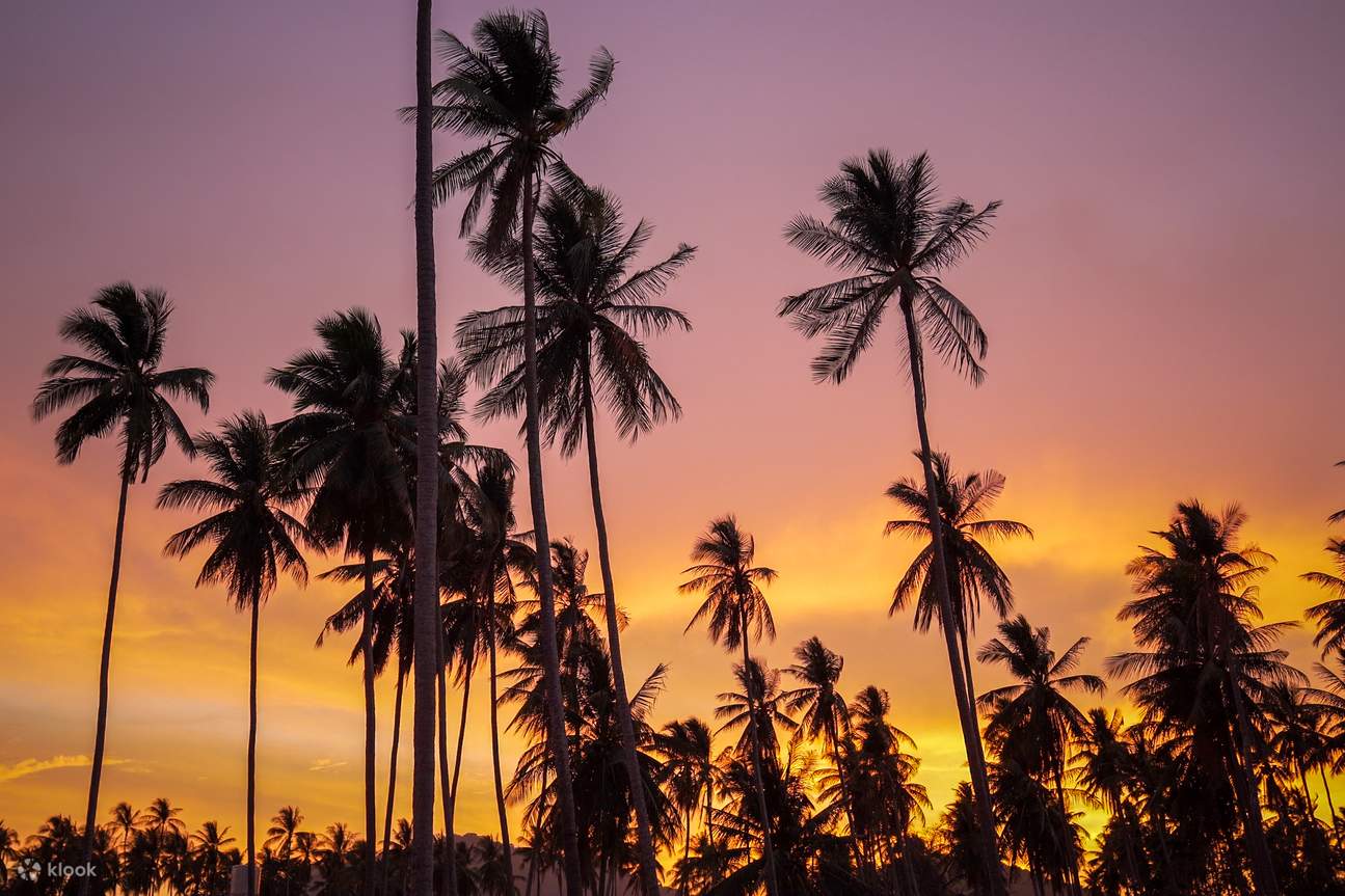 Phuket : Visite guidée des vues du coucher de soleil et du dîner au marché aux fruits de mer
