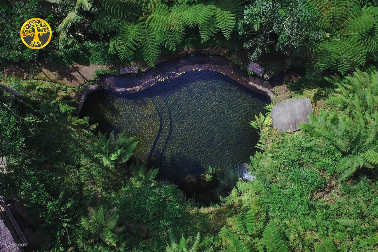 Yoga et méditation au lever du soleil dans la jungle d'Ubud