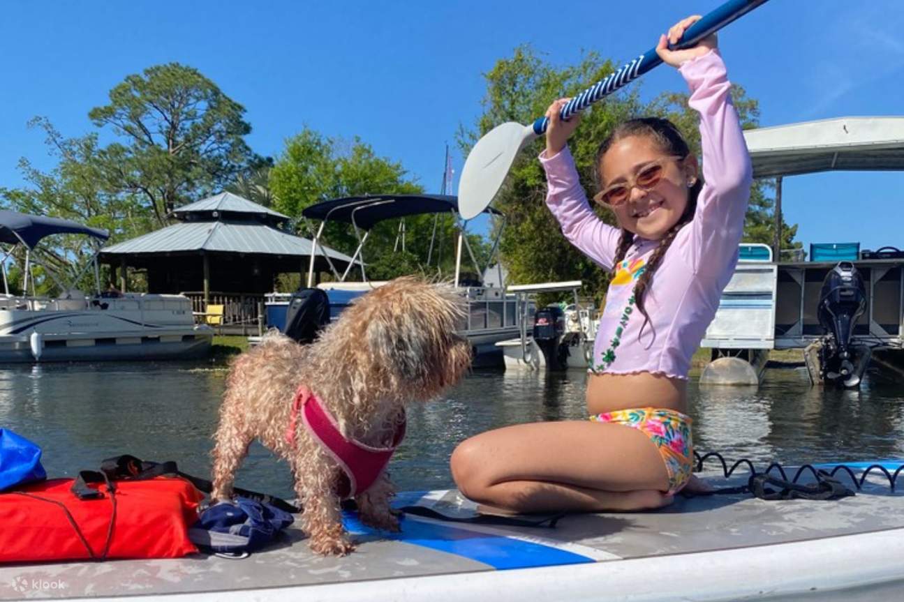 每一次划槳都帶來新的快樂；喜歡和狗狗一起進行的這次奇妙冒險！