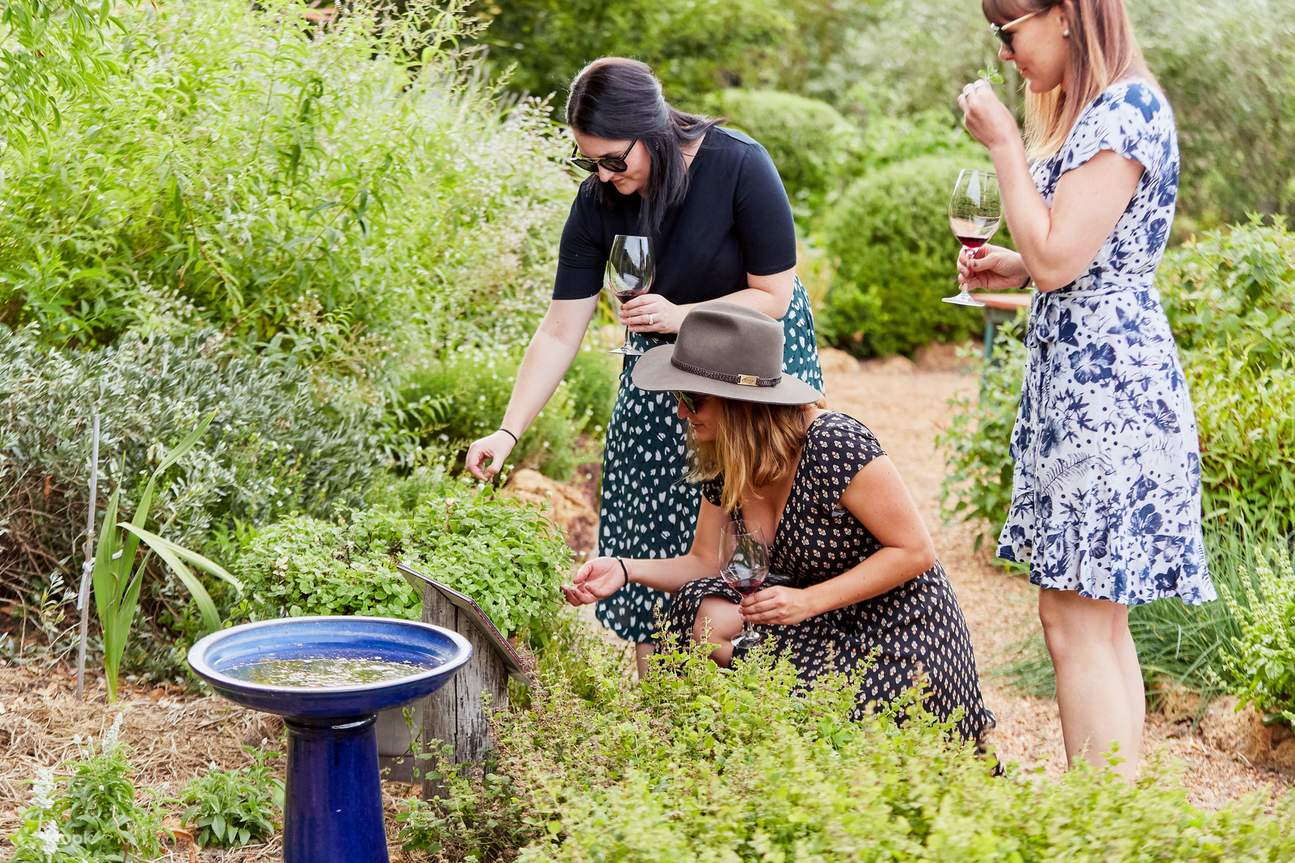 Immergez vos cinq sens dans une expérience de dégustation de vin unique centrée sur le Jardin Sensoriel du Vin.