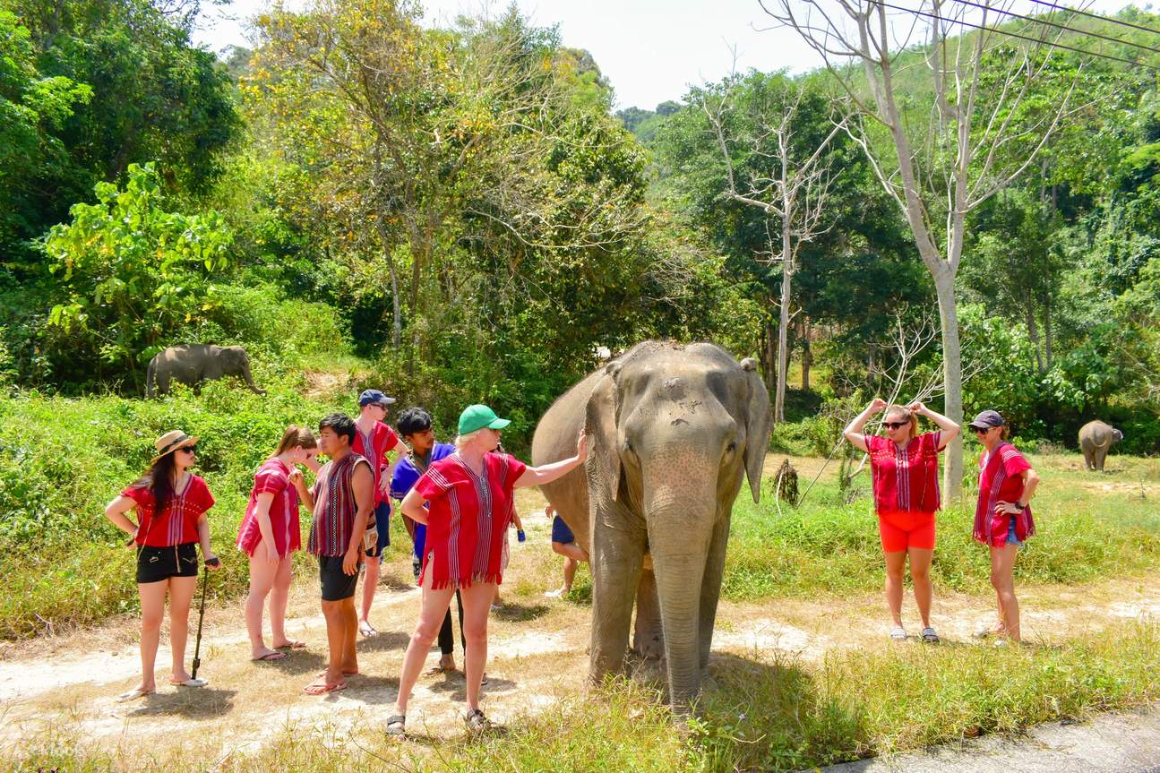 Посещение заповедника Elephant Family Phuket, Пхукет, Таиланд: экскурсия на  полдня - Klook Россия