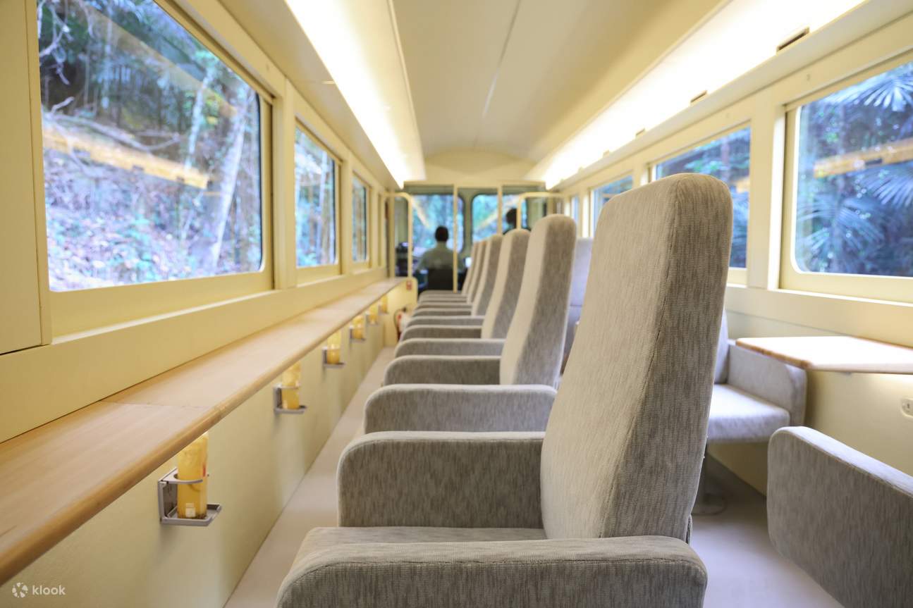 Alishan de Chiayi - Tren Turístico Xuyue