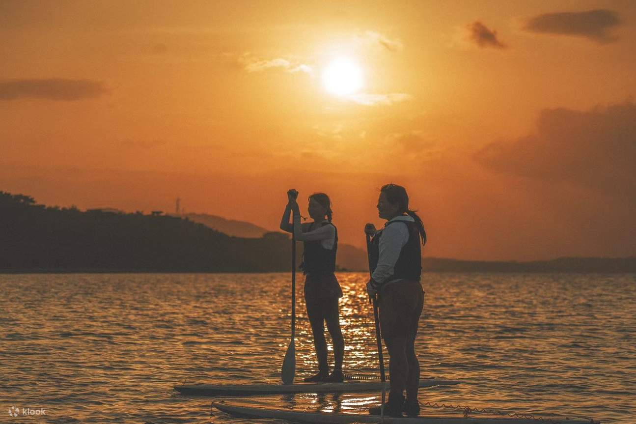 Île d'Iriomote : Choisissez entre une excursion en SUP au coucher du soleil ou en canoë