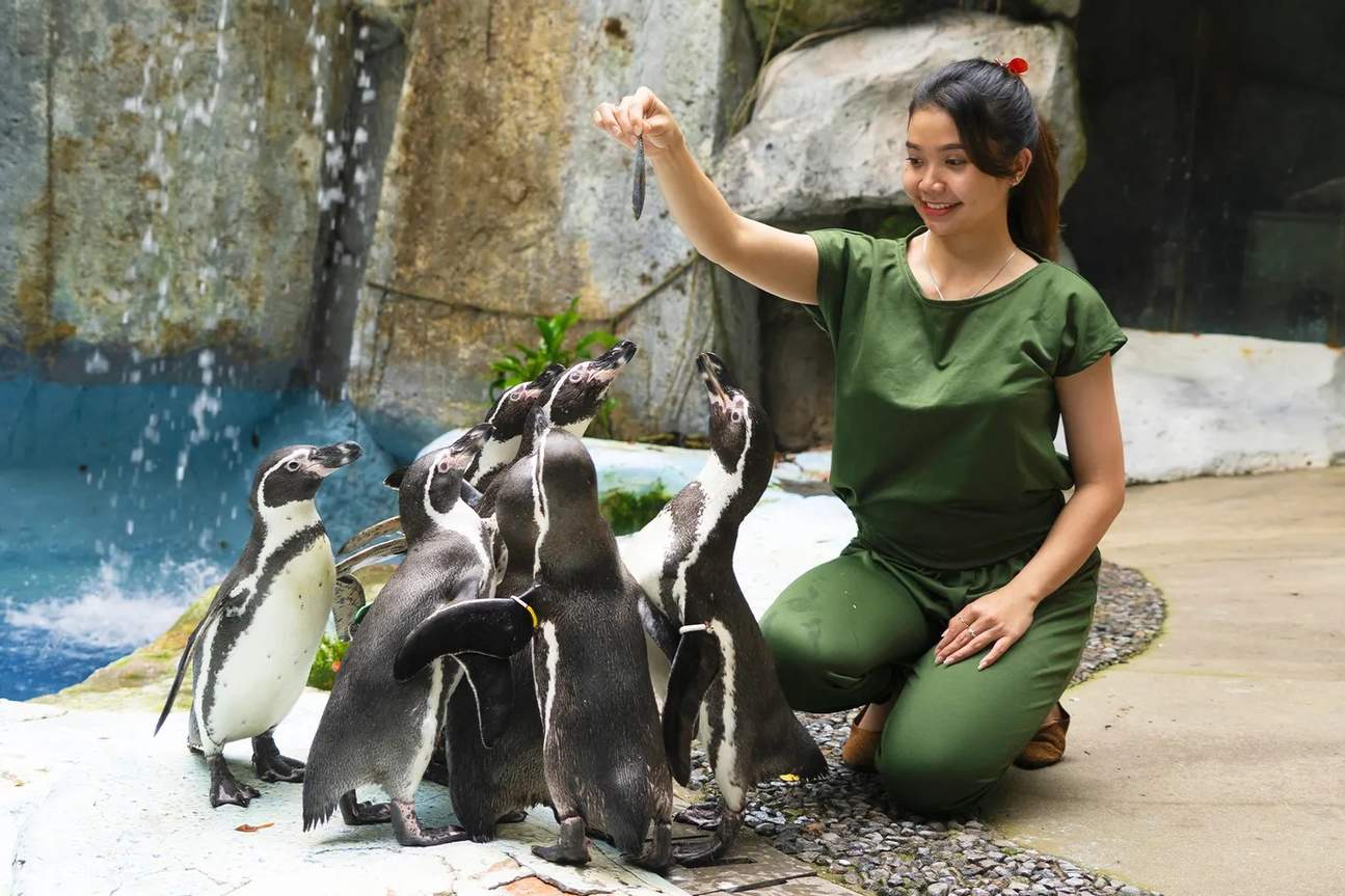 茂物野生動物園
