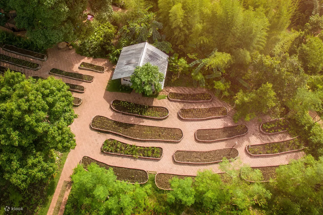 overhead view of garden