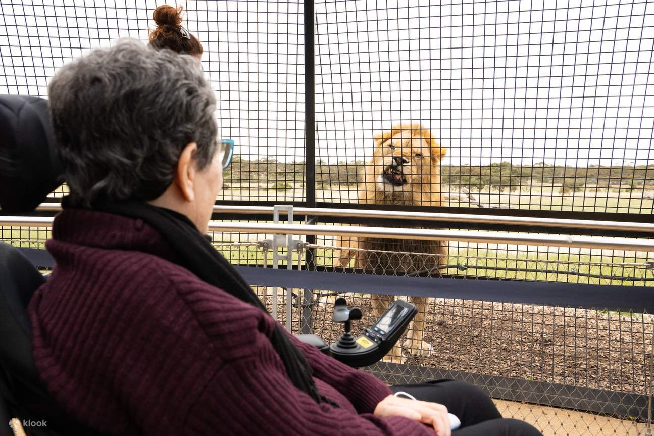 Immagina di avere un incontro ravvicinato con questa maestosa creatura