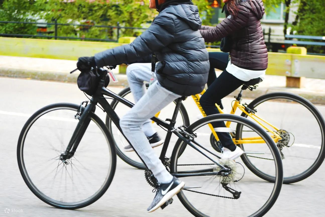 乘坐 Unlimited Biking 的 Cannondale 自行车的游客