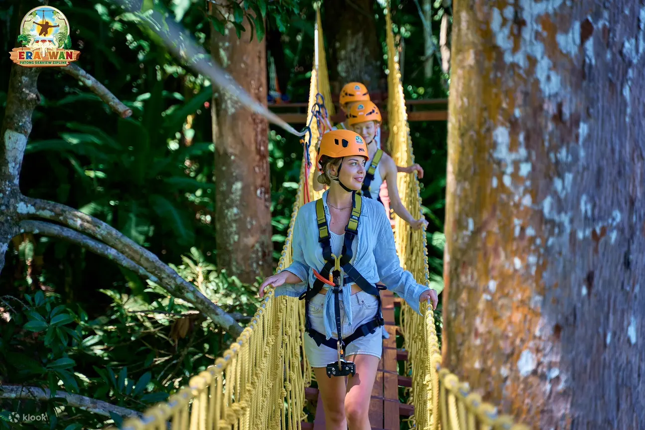 Zipline 