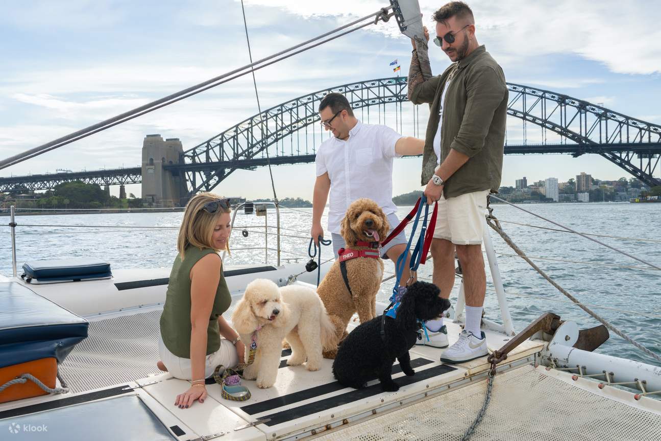 Sydney's 1st Dog Friendly Harbour Cruise: Dogs on Deck