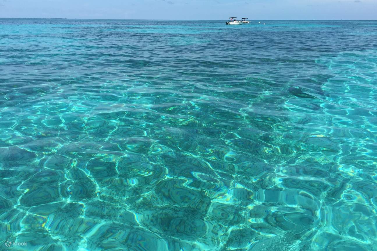 Excursion de plongée en apnée