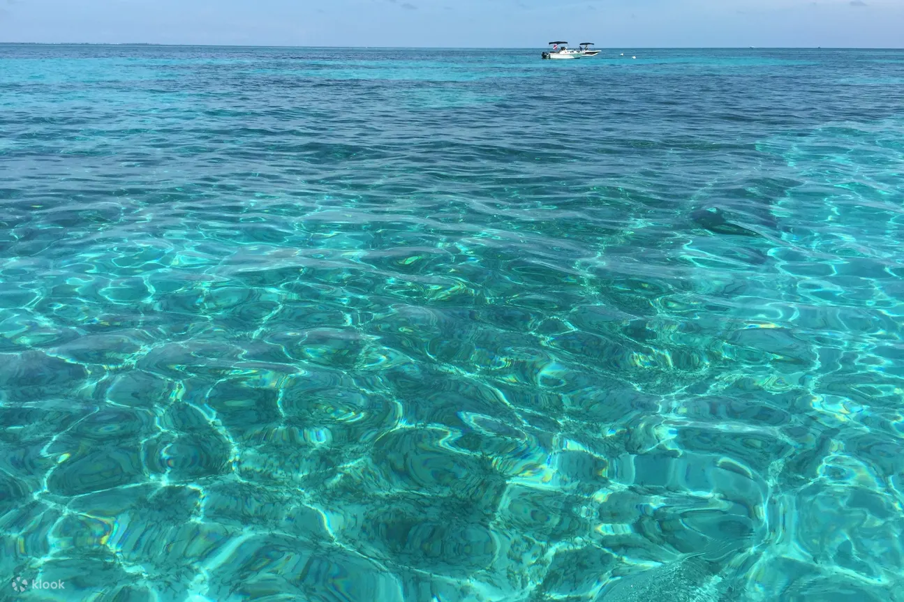浮潜之旅