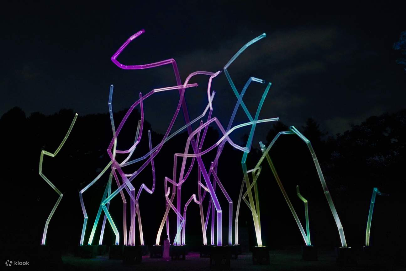 teamLab Botanical Garden Osaka