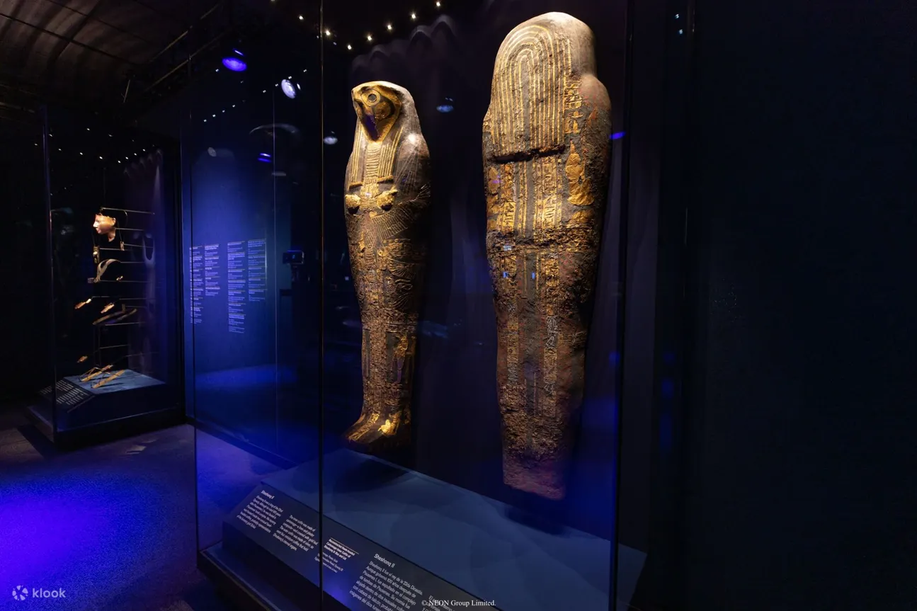 ACN Egyptian Antiquities Touring Exhibition 