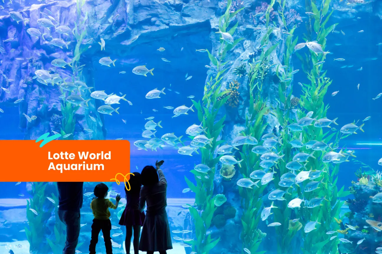 乐天世界水族馆