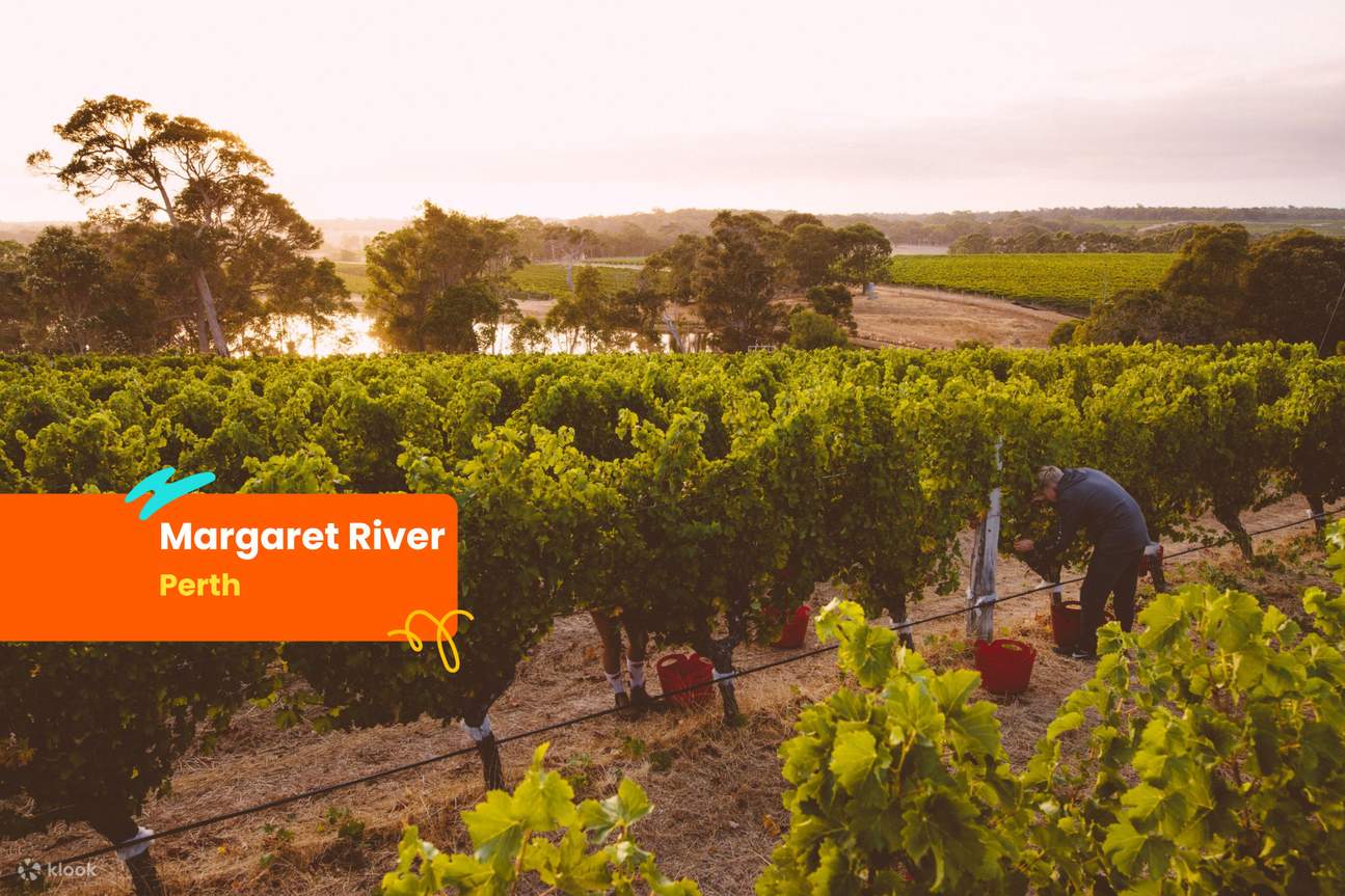margaret river wineries