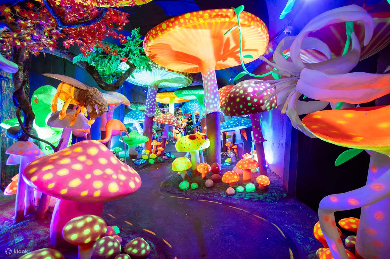 โอ๊ควิโฮ แฟรี่ วัลเลย์